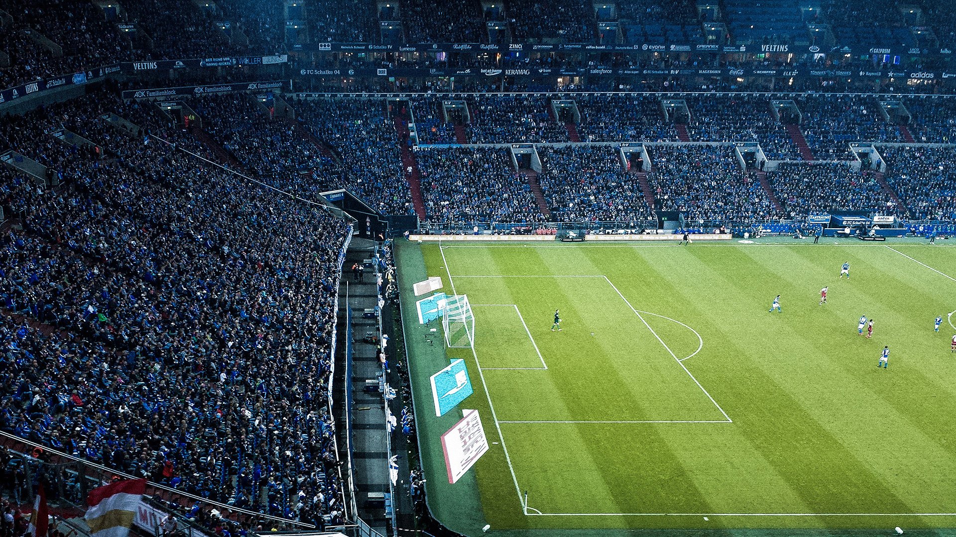 从CBA到世界之巅，当上海男篮的冠军基因遇见福克斯的2026狂想曲